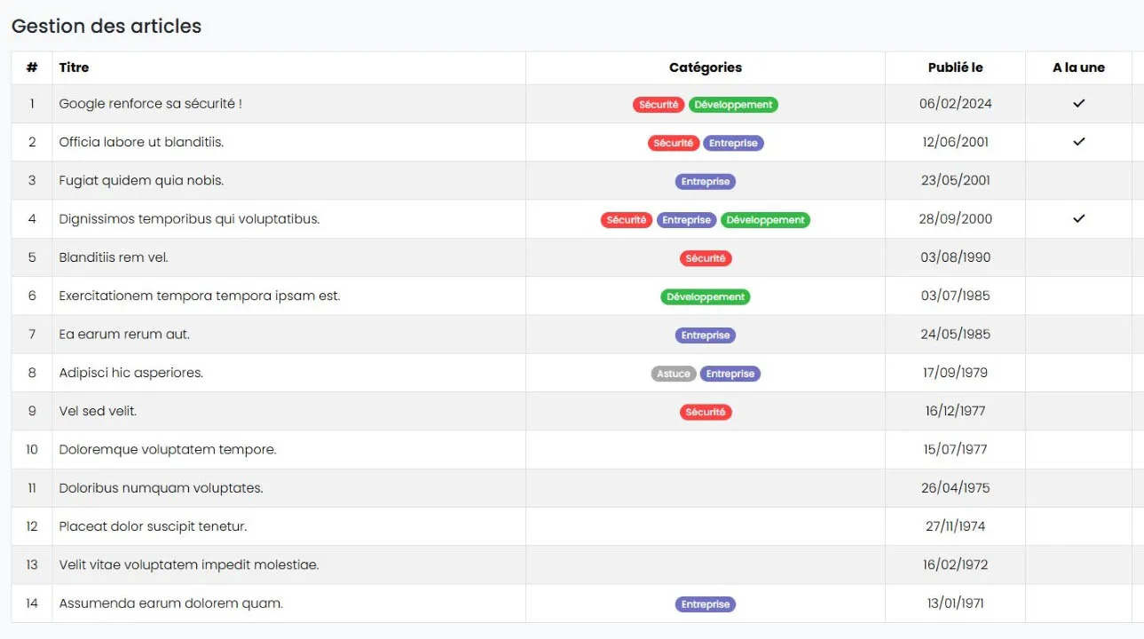 Capture d'écran d'un système de gestion adminsitrateur d'une site web, développée par Virtual Art